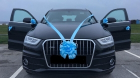 Car Bows