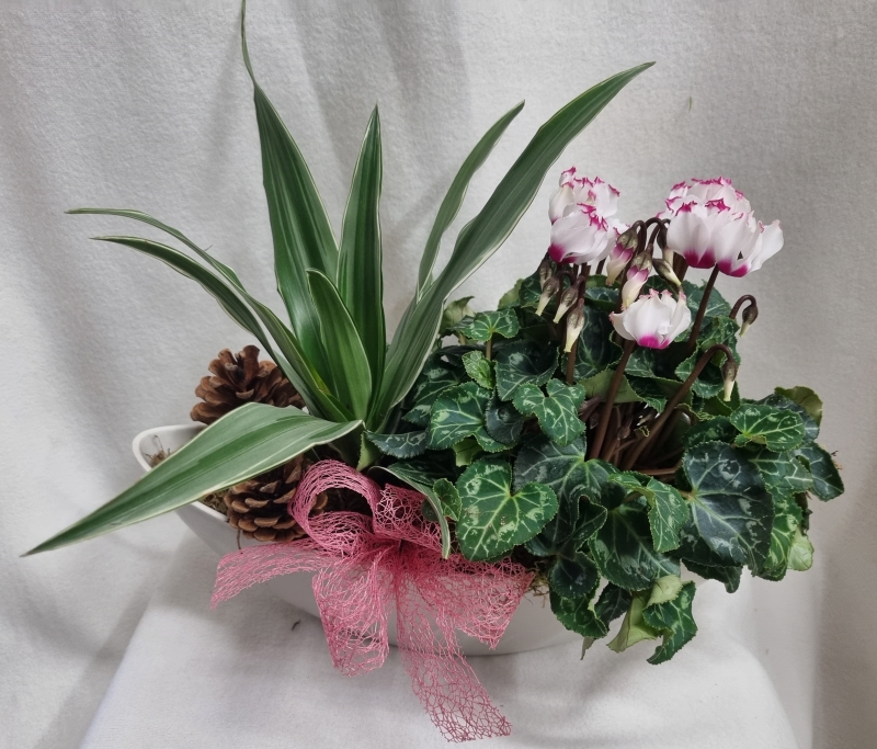 Autumn Planter