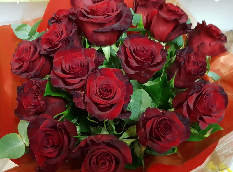Red Roses x 12