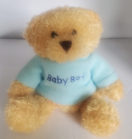 Baby Boy Teddy