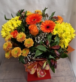 Citrus Burst