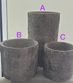 Concrete Silver Birch Effects Pots (A)